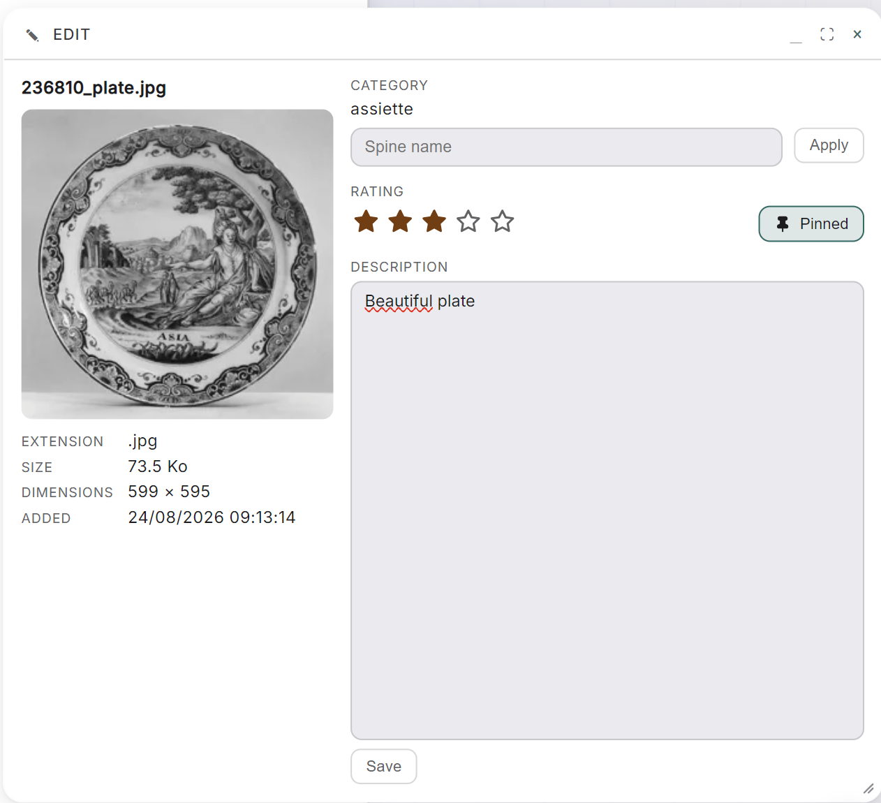 The Edit panel: category, your own spine, rating, pin, description